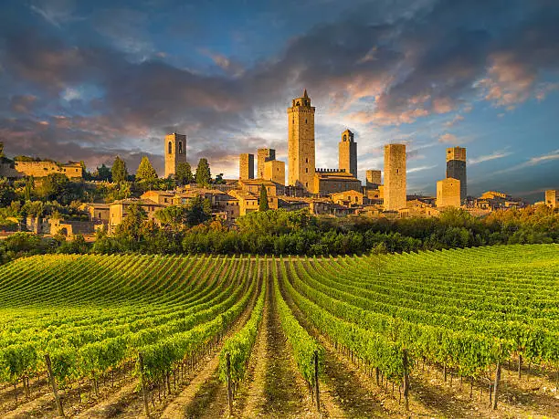 Photo of Vineyard covered hills of Tuscany,Italy