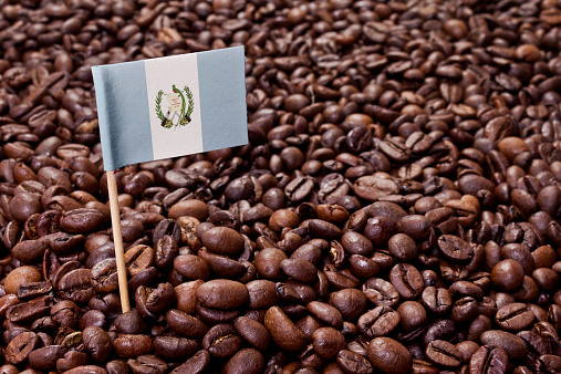 The flag of Guatemala sticking in roasted coffee beans.(series)