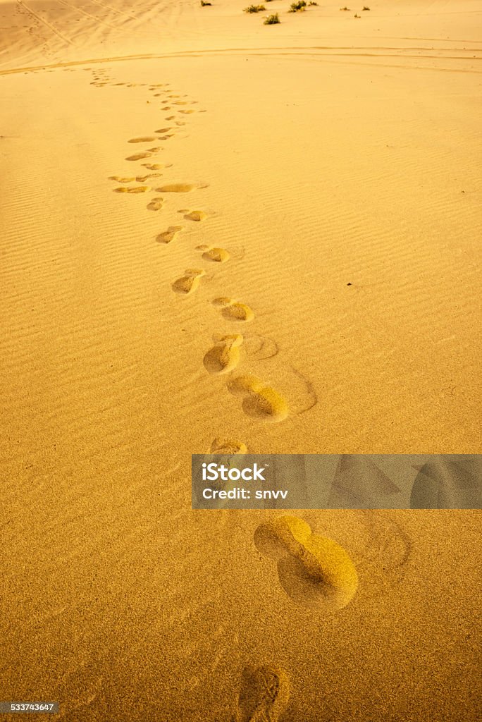 Desert Walk in the desert 2015 Stock Photo