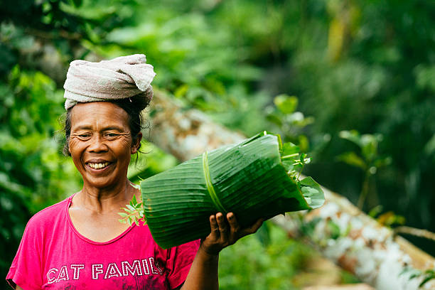 Balinese Farm Woman Working Jatiluwih Rice Terrace Indonesia Jatiluwih, Indonesia - January 21, 2015: A smiling Balinese woman working in the UNESCO world heritage rice terrace walks with a towel wrapped on her head and a banana leaf full of cut rice in her hand. jatiluwih rice terraces stock pictures, royalty-free photos & images