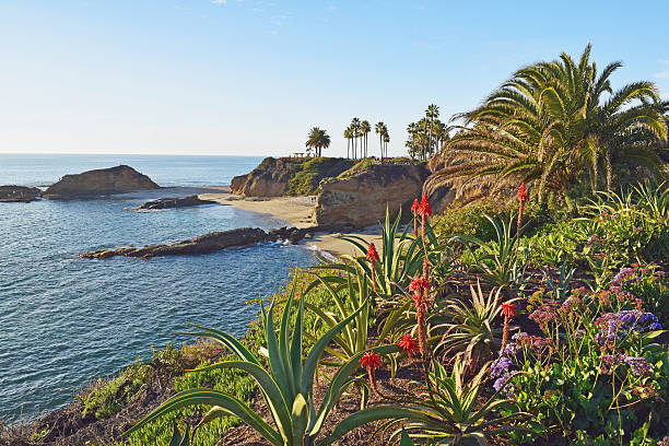 istock Laguna Beach Coastline & Gardens 533744831
