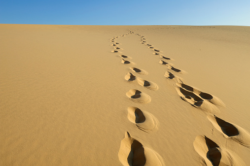 foot prints on sand dunes at Lencois Maranhenses National Park, located in northeastern Brazil, low, flat, occasionally flooded land, overlaid with large, discrete sand dunes with blue and green lagoons