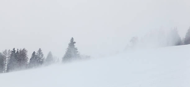 Blizzard Winter Snow stock photo