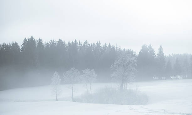 Winter Snowy Landscape, Austria stock photo