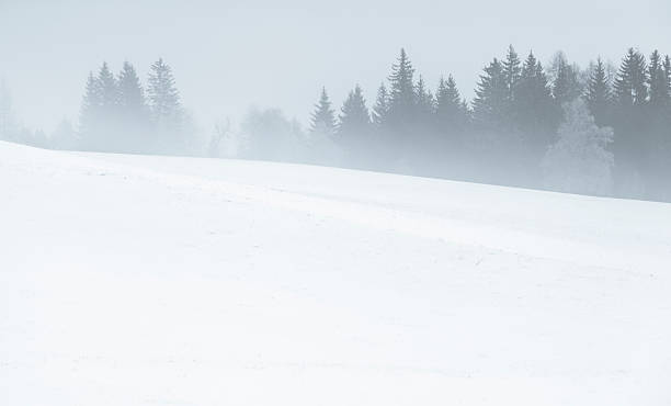 Tree line and Winter Snow stock photo