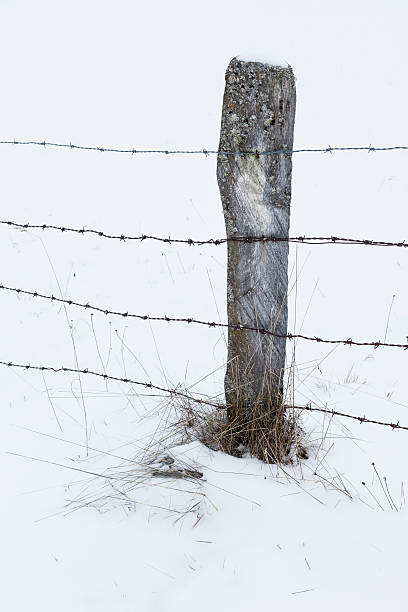 Wooden Post and barbed wire in the snow stock photo
