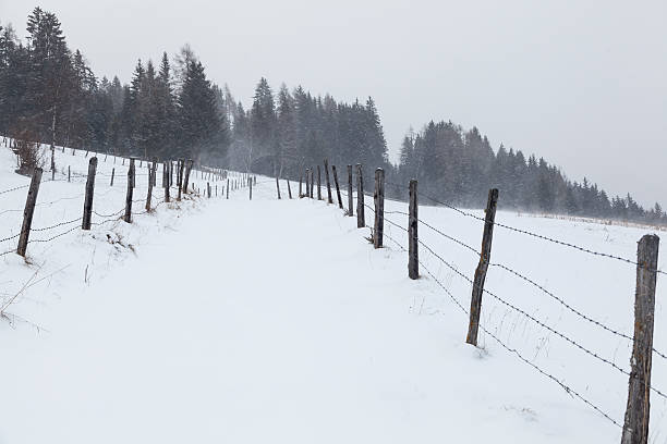 Wooden fence in winter landscape, Austria stock photo