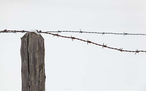 Wooden post  and barbed wire against snow stock photo