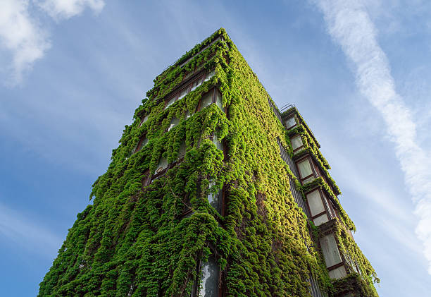green building - architettura ecologica foto e immagini stock