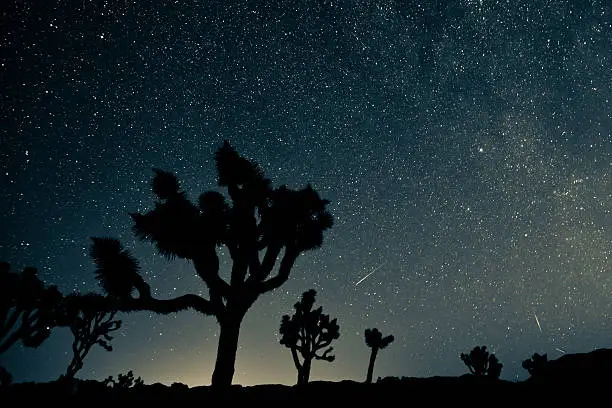 Joshua Tree National Park Perseid meteor shower