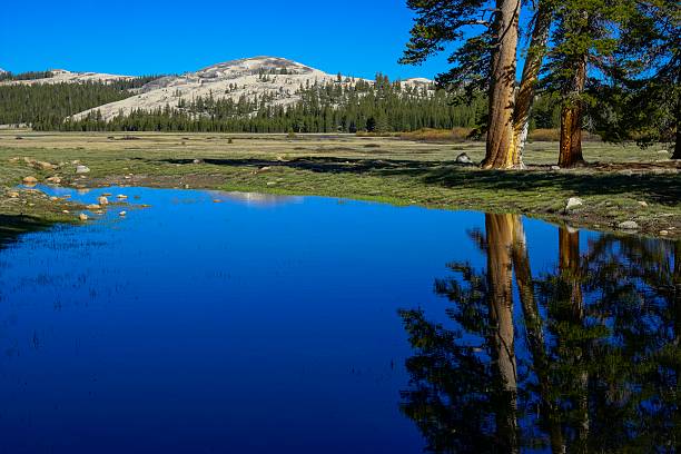 istock Yosemite National Park, California 533773925