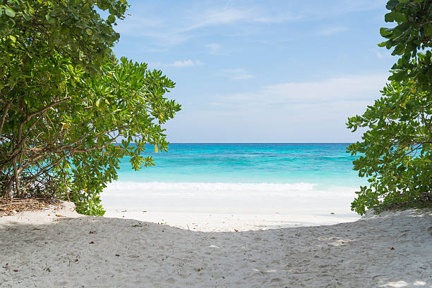 istock Tachai Island, Thailand 533779211