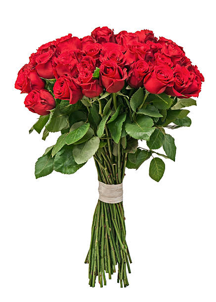 istock Colorful flower bouquet isolated on white background. 533780335