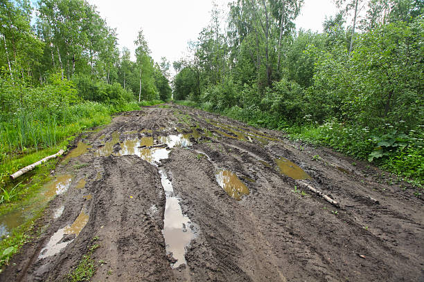 istock Muddy dirty road through forest with puddles 533831668