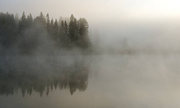 istock fog over the river in Hayden Valley of Yellowstone 533832253
