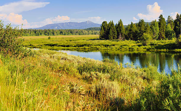 istock Grand Teton National Park in Summer 533833375