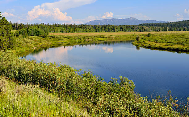 istock Grand Teton National Park in Summer 533833387