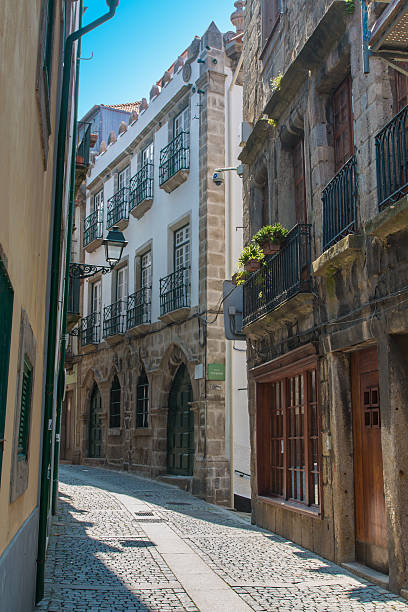 istock Alley in Oporto 533833552