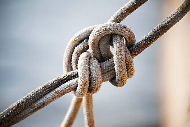 the noose - tied knot стоковые фото и изображения