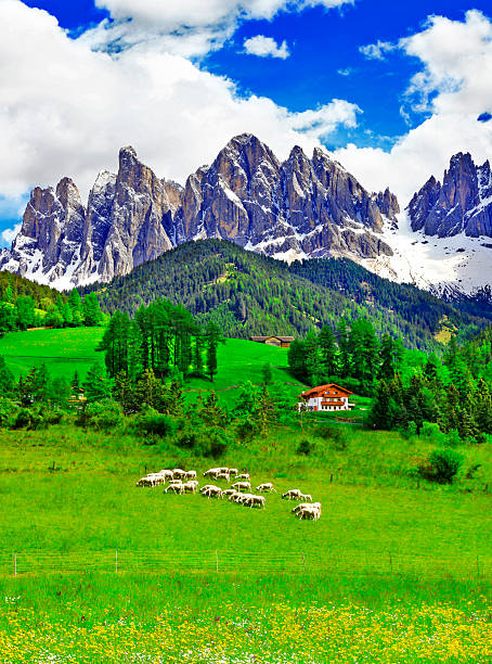 istock Dolomites,Trento.Italy 533835061