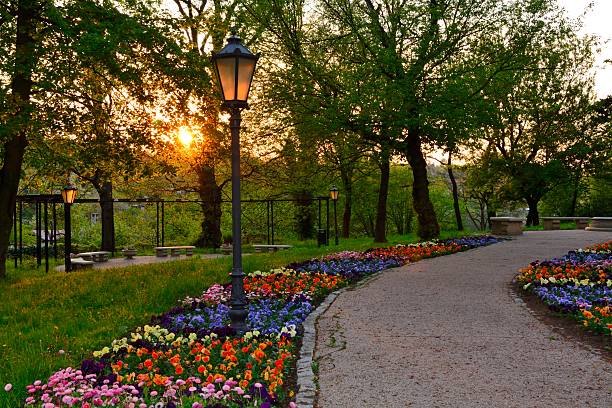 istock Green parks in Poland 533835131