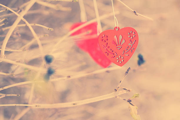 istock Red wooden hearts on the branch 533835329