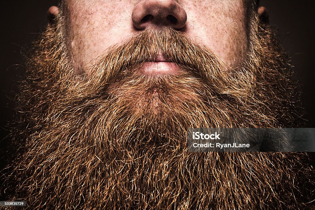 Big Bearded Man Portrait A close up portrait of a mans large red beard, his facial hair filling the image frame.  His face is obscured by the composition, emphasizing the masculine mustache and beard. Horizontal image with copy space on beard. Beard Stock Photo