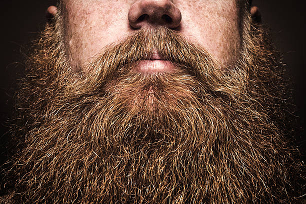 Big Bearded Man Portrait A close up portrait of a mans large red beard, his facial hair filling the image frame.  His face is obscured by the composition, emphasizing the masculine mustache and beard. Horizontal image with copy space on beard. facial hair photos stock pictures, royalty-free photos & images