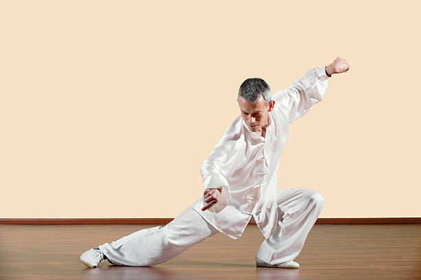 Tanglangquan, Ludong Tuobu, Praying Mantis Style, Man practicing kung fu