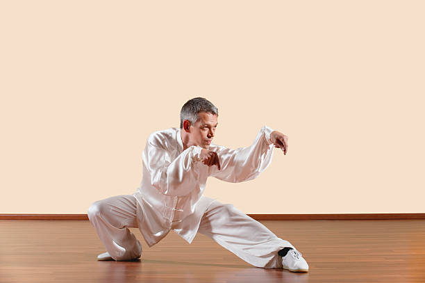 istock Tanglangquan, Puchan, Praying Mantis Style, Man practicing kung fu 533835791