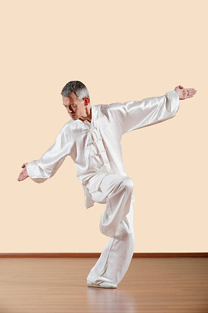 istock Kung Fu, Fanziquan, Man practicing kung fu 533835795