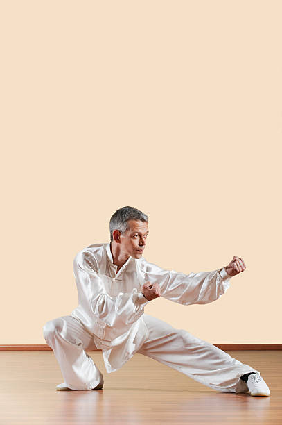 istock Kung Fu, Fanziquan, Qigu shi, Man practicing kung fu 533835801