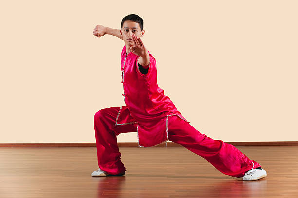 istock Kung Fu, Long Fist Style, Young man practicing martial arts 533835881