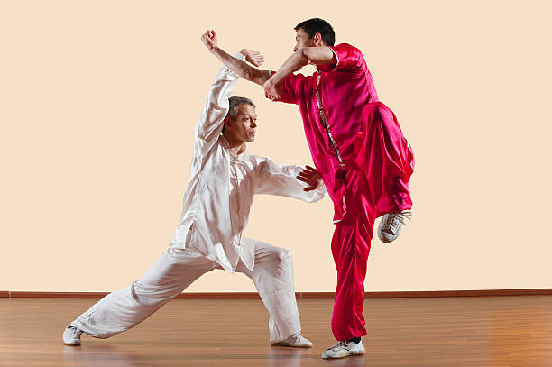 kung fu, lungo il pugno stile, due uomini facendo kung-fu sposta - kung fu foto e immagini stock