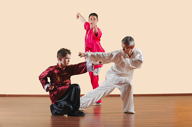 istock Kung Fu, Long Fist Style people practicing martial arts 533835899