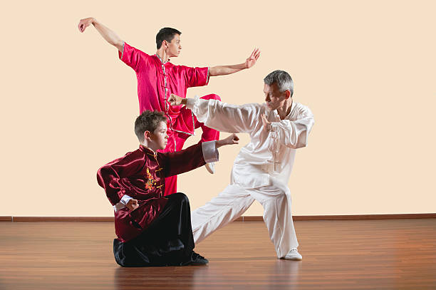 istock Kung Fu, Long Fist Style, people practicing martial arts 533835901