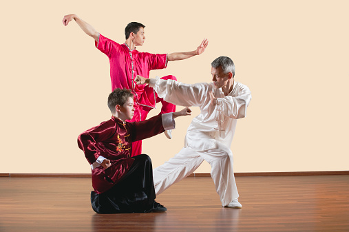 Kung Fu, Changquan, Xiebu chongquan, Chabu hengquan, Tixi tiaozhang, Long Fist Style, people practicing martial arts