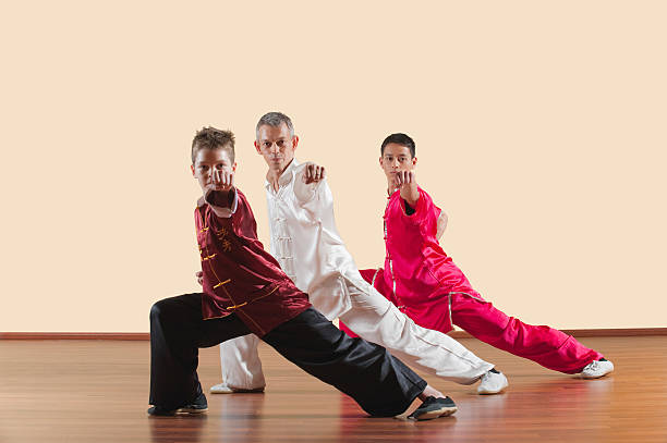 istock Kung Fu, Long Fist Style, People  practicing martial arts 533835909
