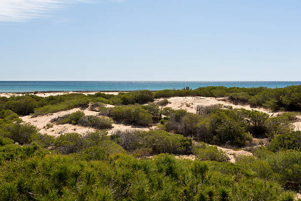 istock sandy gateway of the sun 533836736