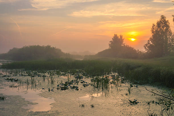 istock Landscape, sunny dawn, sunrays in fog 533836869