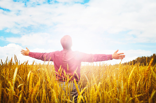 Young men standing on the field with his arms outstretched and enjoying nature
