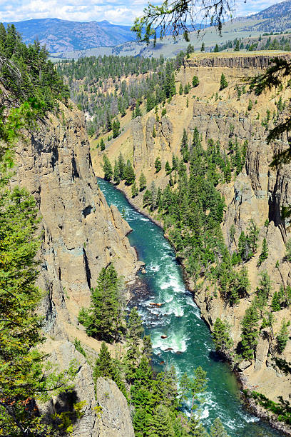 istock Calcite Springs near Tower Rosevelt in Yellowstone 533837357