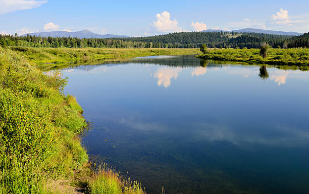 istock Grand Teton National Park in Summer 533837375