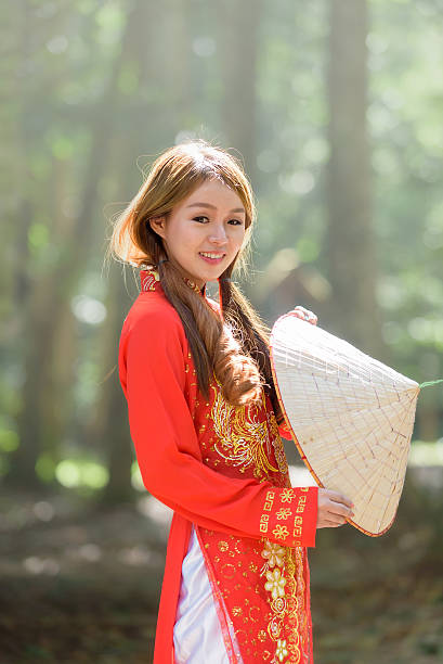 Beautiful vietnamese girl in traditional dress (ao dai) in a park