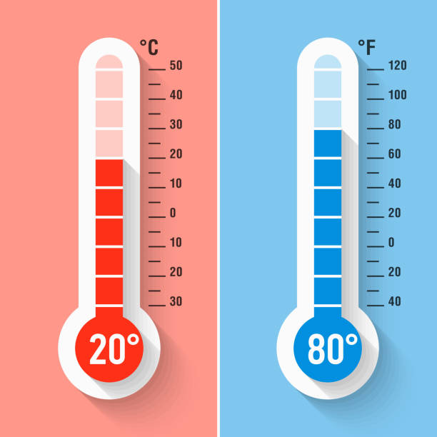 stockillustraties, clipart, cartoons en iconen met celsius and fahrenheit thermometers - thermometer