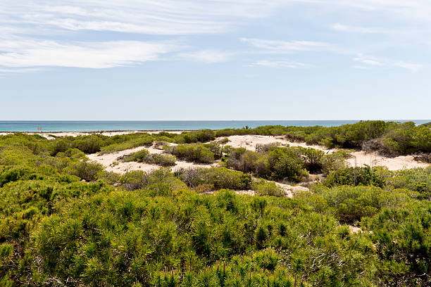 istock sandy gateway of the sun 533838862