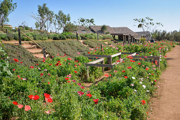 istock Mon Jam viewpoint in Chiang Mai, Thailand 533839940