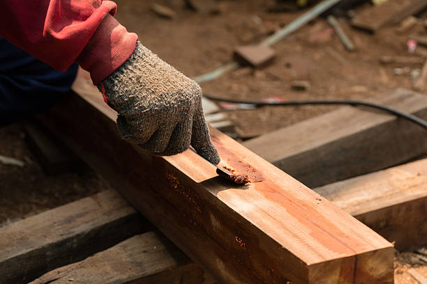 istock Caulking on the cracks lumber 533841630