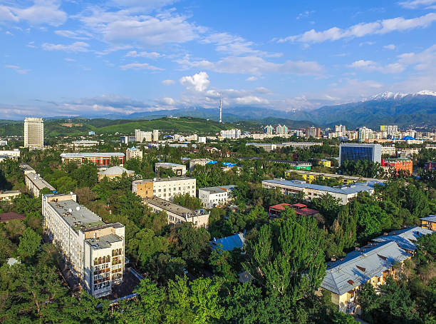 istock Almaty - Aerial view 533842730