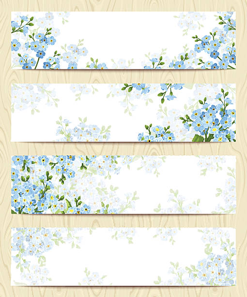 kuvapankkikuvitukset aiheesta web-bannereita, joissa on siniset unohdettavat kukat. vektori eps-10. - myosotis scorpioides